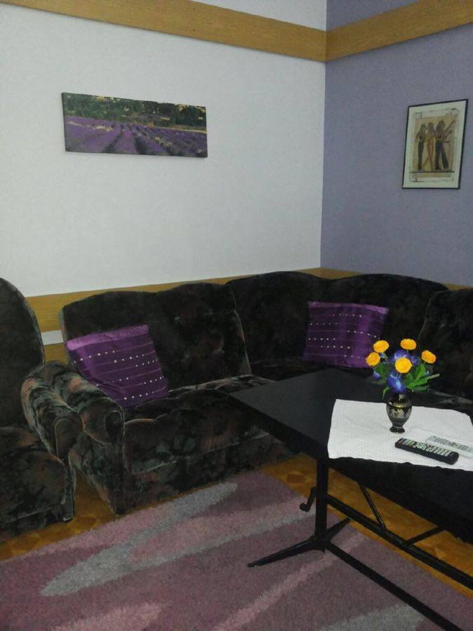 Pokoje Wilga Villa Wilcze  ภายนอก รูปภาพ